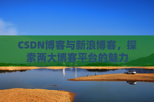 CSDN博客与新浪博客，探索两大博客平台的魅力